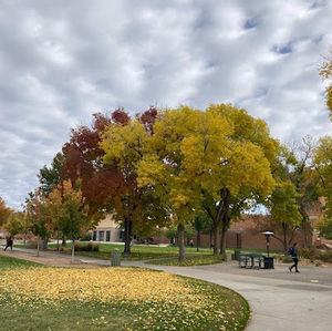 Meet your Posher, Jesse